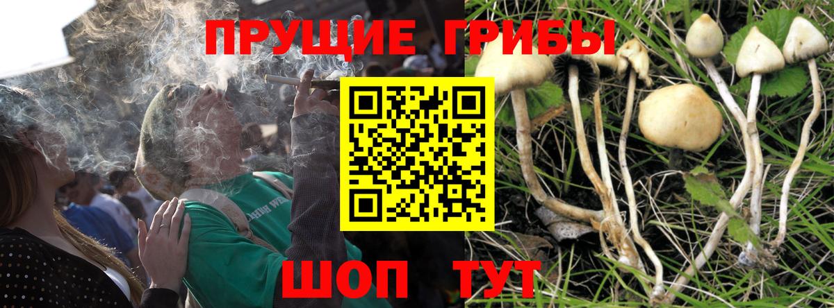 Галлюциногенные грибы мухоморы  Галлюциногенные грибы мухоморы  Вход с VPN  даркнет сайт  Нягань 